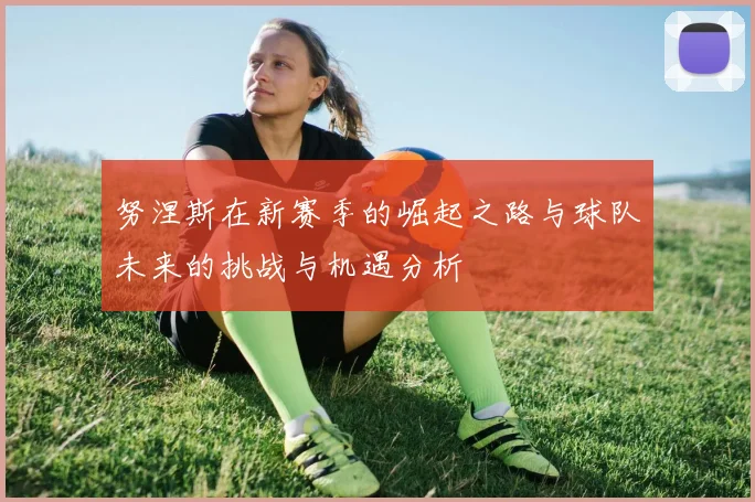 努涅斯在新赛季的崛起之路与球队未来的挑战与机遇分析